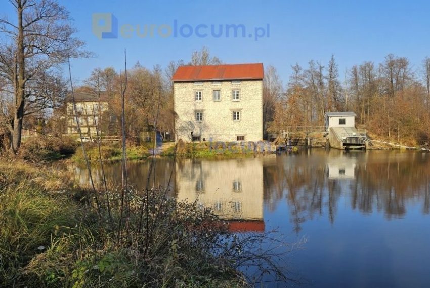 7019 1l 850x570 - Budynek Starego MŁyna