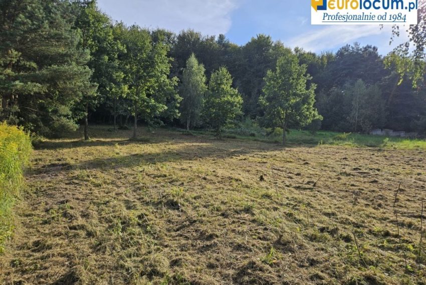 7244 1l 850x570 - Działka budowlana z własnym lasem