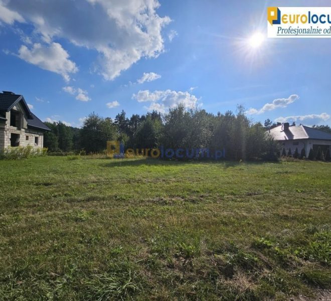 7763 1l 660x600 - działka przy lesie
